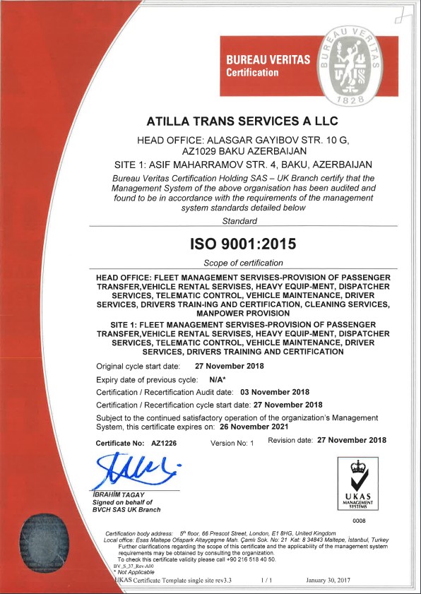 Alt Text
