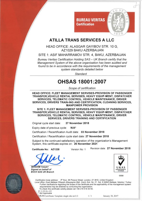 Alt Text